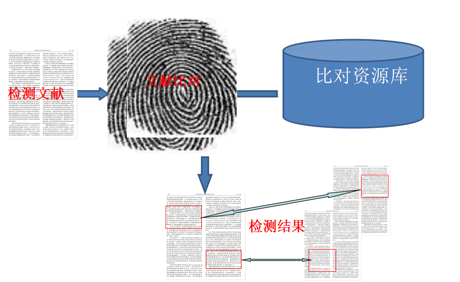 指纹比对系统